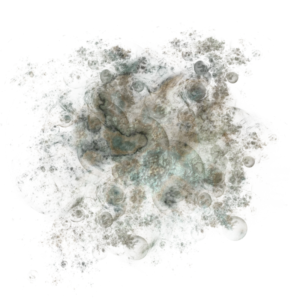 Masked Textures 800 x 800