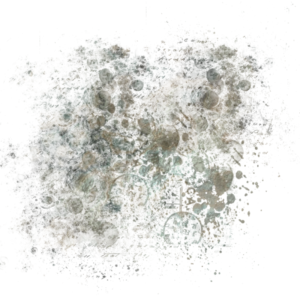 Masked Textures 800 x 800