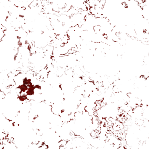 Bloody Overlay 800 x 800 Transparent PNG