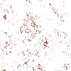 Bloody Overlay 800 x 800 Transparent PNG