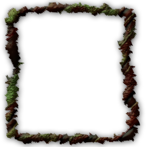 Halloween Frame PNG 800 x 800