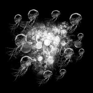 Jelly Fish PSP Mask 1000 x 1000