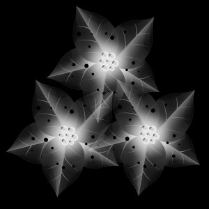 Christmas PSP Mask 1000 x 1000