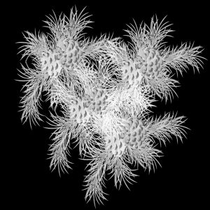 Christmas PSP Mask 1000 x 1000