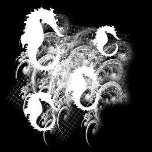 Sea Horse PSP Mask 1000 x 1000 Free Download 