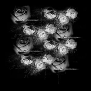 Flower Free Download PSP Mask 1000 x 1000