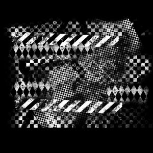 Paint Shop Pro Mask 800 x 800