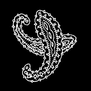 Paint Shop Pro Mask 800 x 800