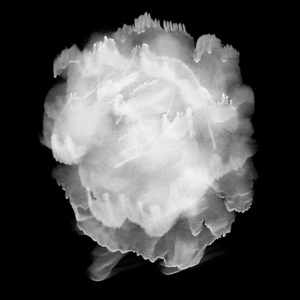 Free Download PSP Mask 1000 x 1000