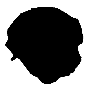 Clipping Mask 2000 x 2000 @ 2025 Copyright Designs by Forte