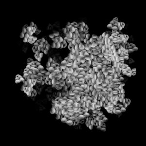 Free Download PSP Mask 1000 x 1000