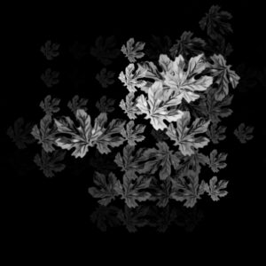 Free Download PSP Mask 1000 x 1000