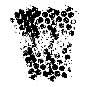 Clipping Mask 2000 x 2000 @ 2025 Copyright Designs by Forte