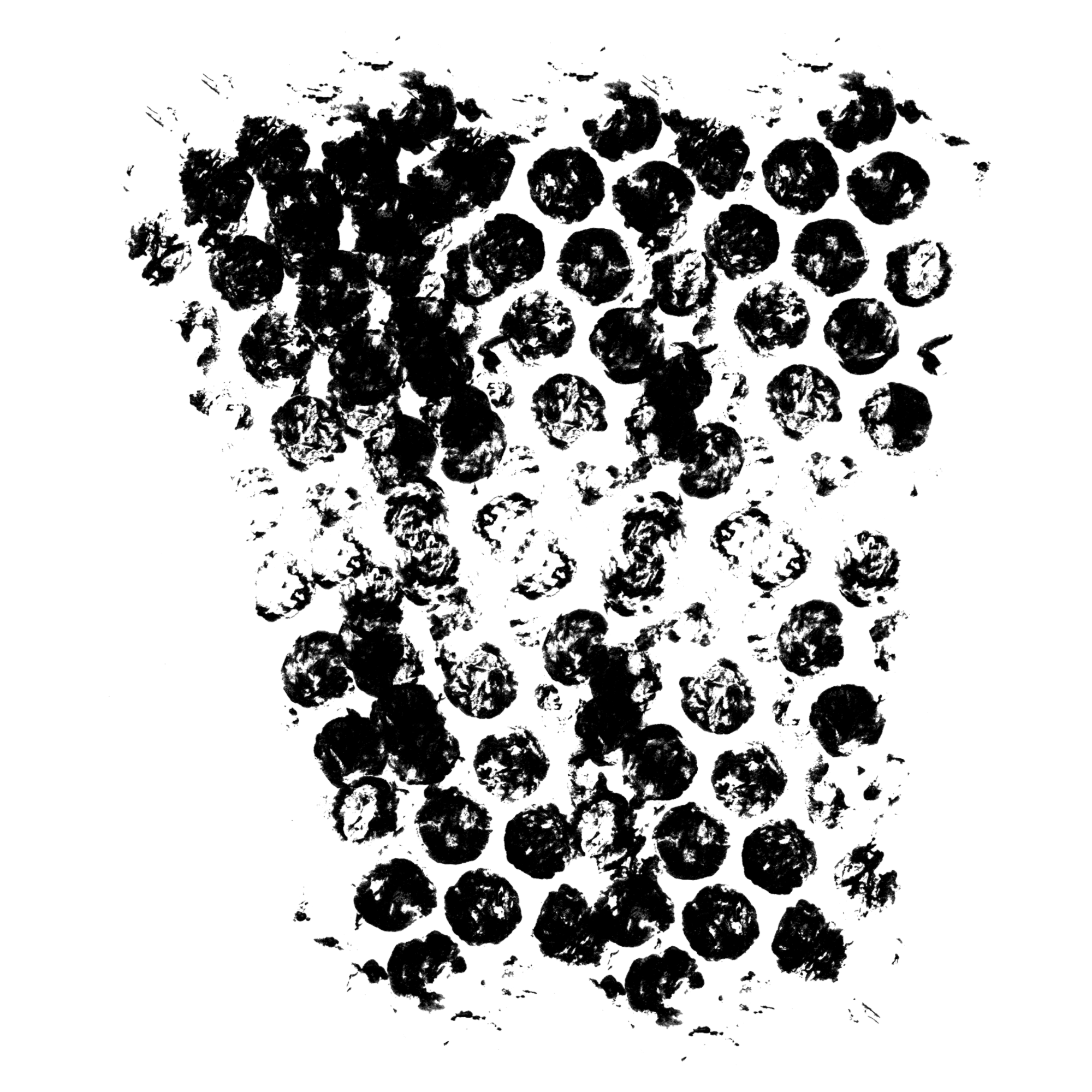 Clipping Mask 2000 x 2000 @ 2025 Copyright Designs by Forte