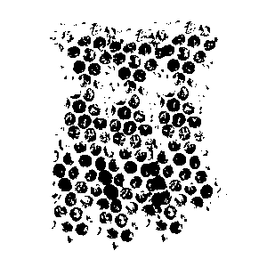 Clipping Mask 2000 x 2000 @ 2025 Copyright Designs by Forte