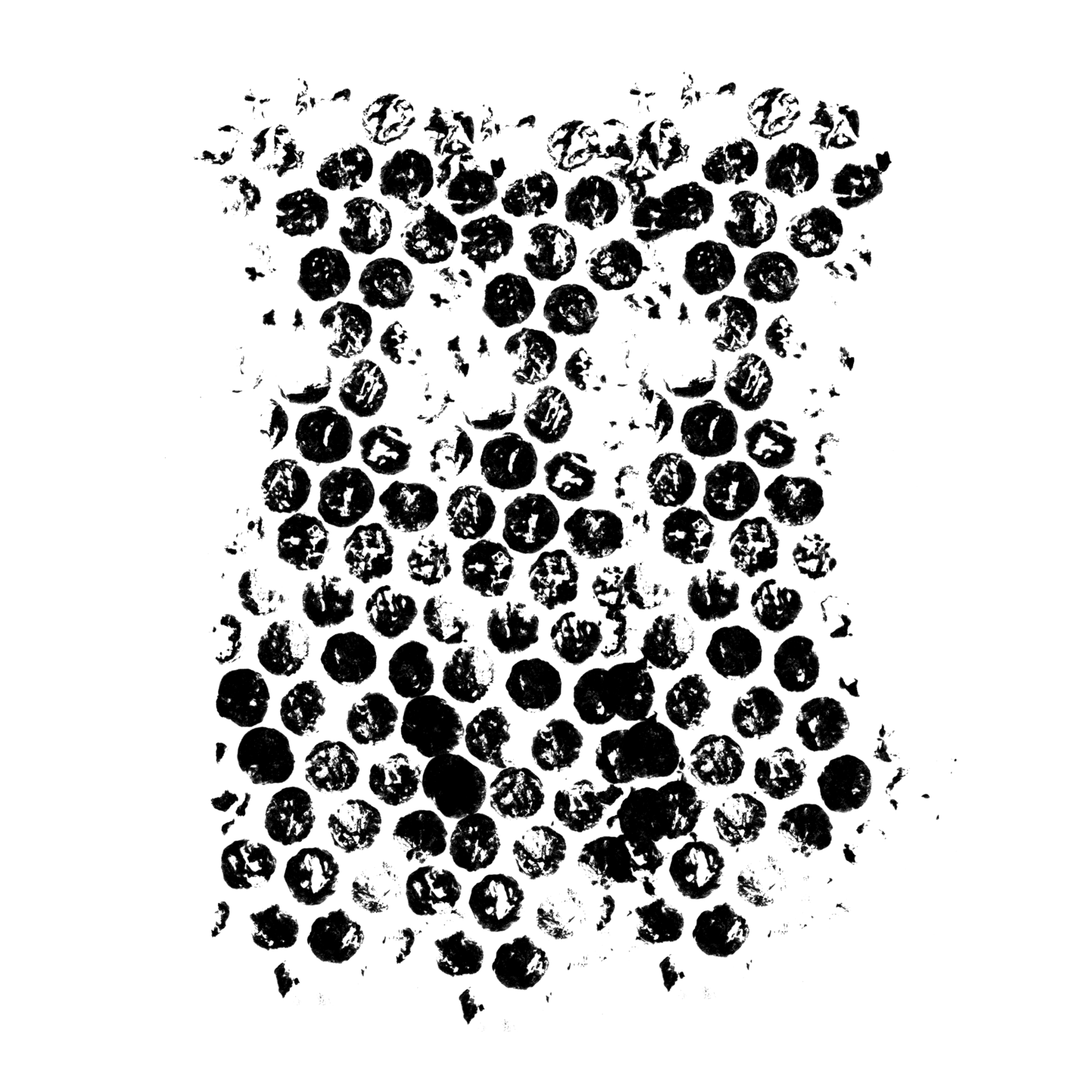 Clipping Mask 2000 x 2000 @ 2025 Copyright Designs by Forte