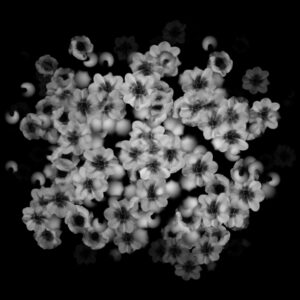 Free Download PSP Mask 1000 x 1000