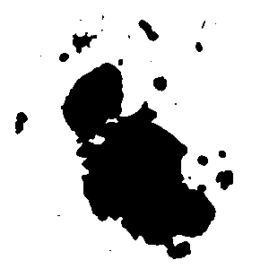 Clipping Mask 2000 x 2000 @ 2025 Copyright Designs by Forte