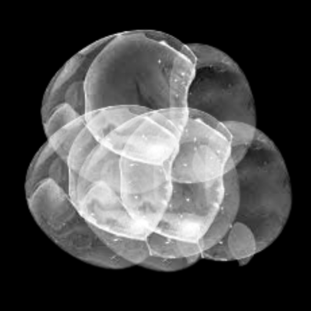 Free Download PSP Mask 1000 x 1000