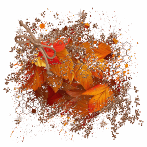 Background Element 800 x 800 - Created by Designs by Forte