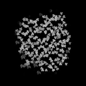 Free Download PSP Mask 1000 x 1000