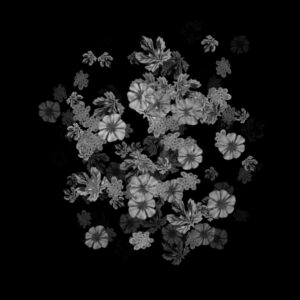 Free Download PSP Mask 1000 x 1000