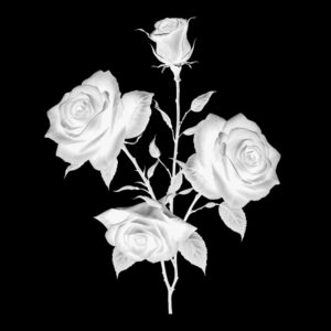 Free Download PSP Mask 1000 x 1000