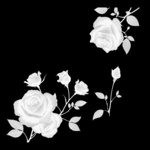 Free Download PSP Mask 1000 x 1000