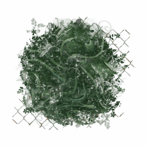 Background Element 800 x 800 - Created by Designs by Forte