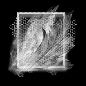 Free Download PSP Mask 800 x 800