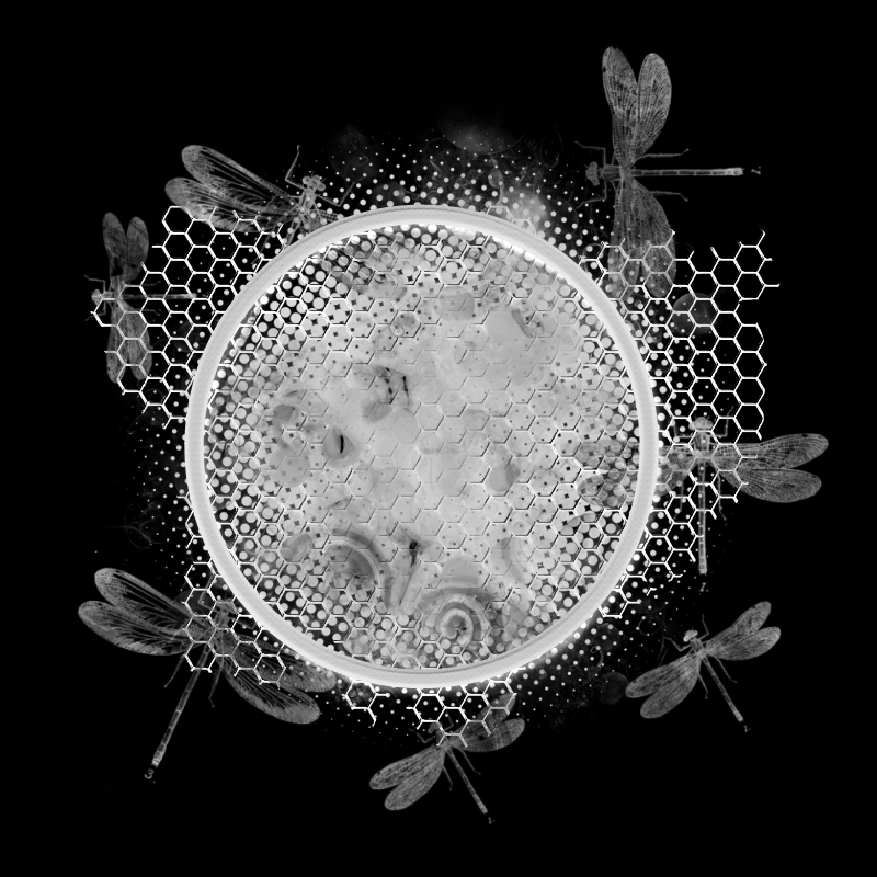 Free Download PSP Mask 800 x 800