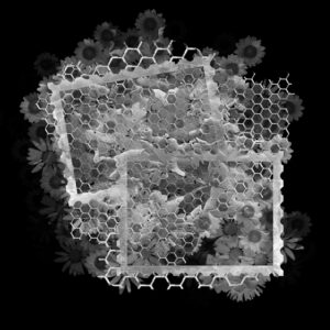 Free Download PSP Mask 800 x 800