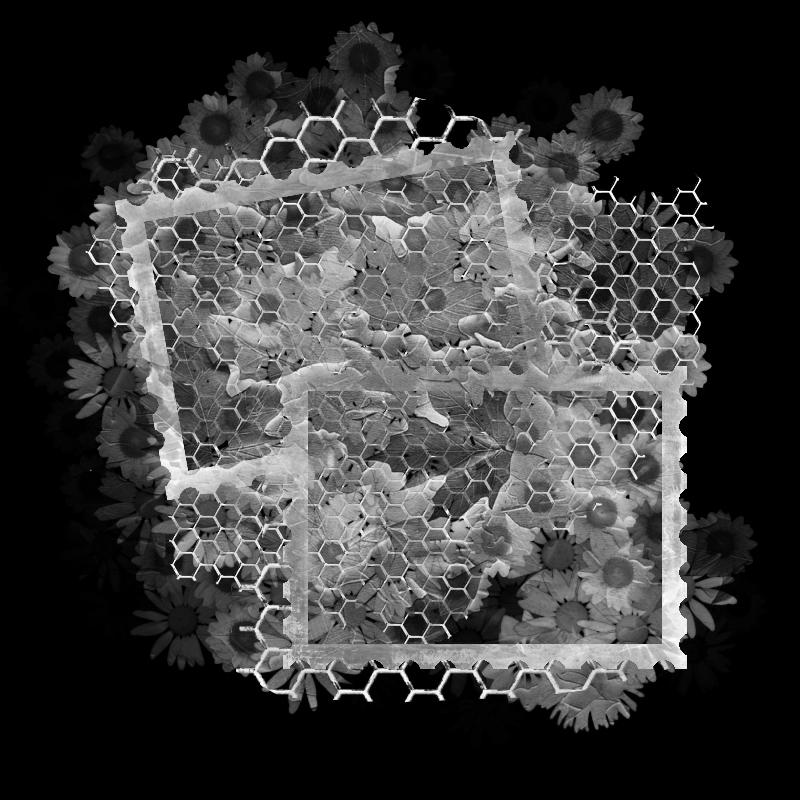 Free Download PSP Mask 800 x 800