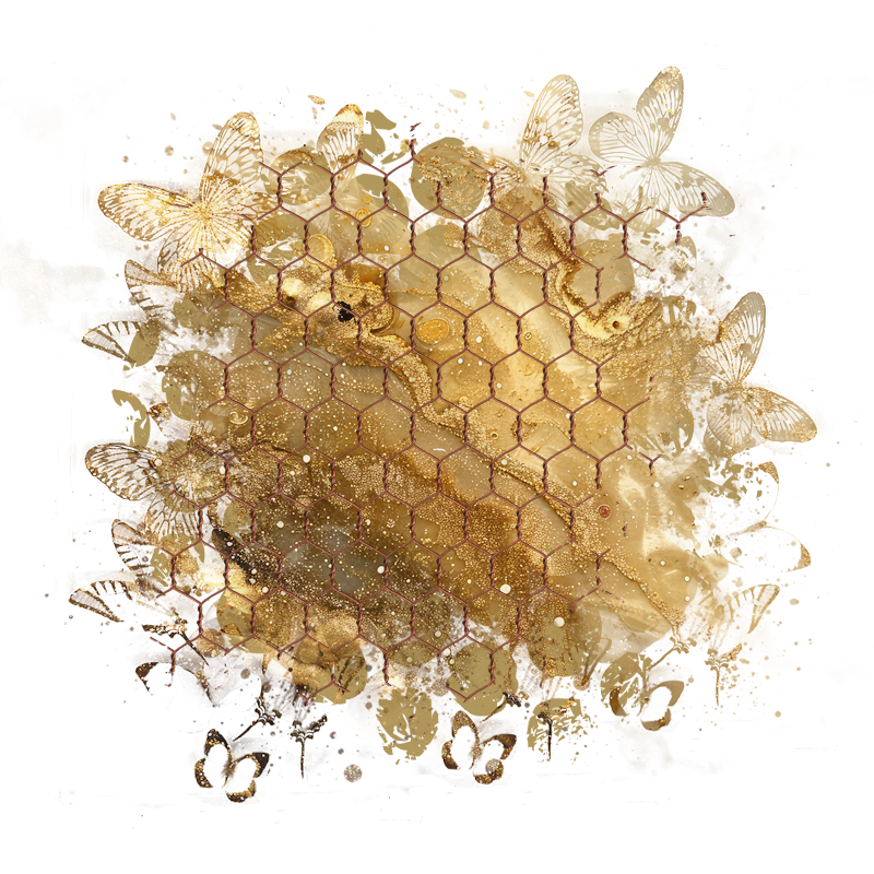 Background Element 800 x 800 - Created by Designs by Forte