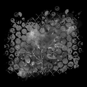 Free Download PSP Mask 800 x 800