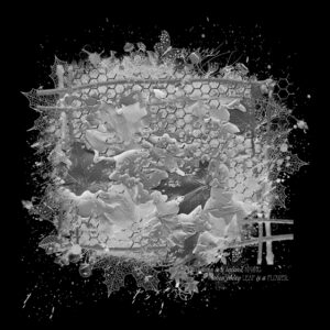 Free Download PSP Mask 800 x 800