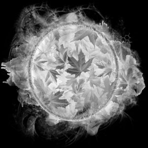 Free Download PSP Mask 800 x 800