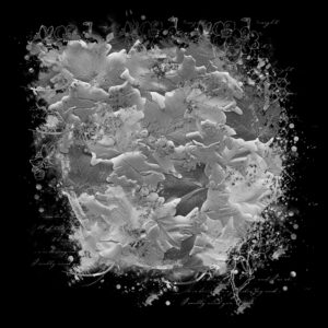 Free Download PSP Mask 800 x 800