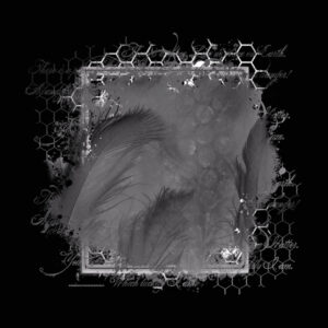 Free Download PSP Mask 800 x 800