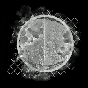 Free Download PSP Mask 800 x 800