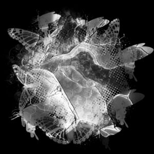 Free Download PSP Mask 800 x 800