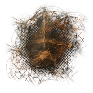 Background Element 800 x 800 - Created by Designs by Forte