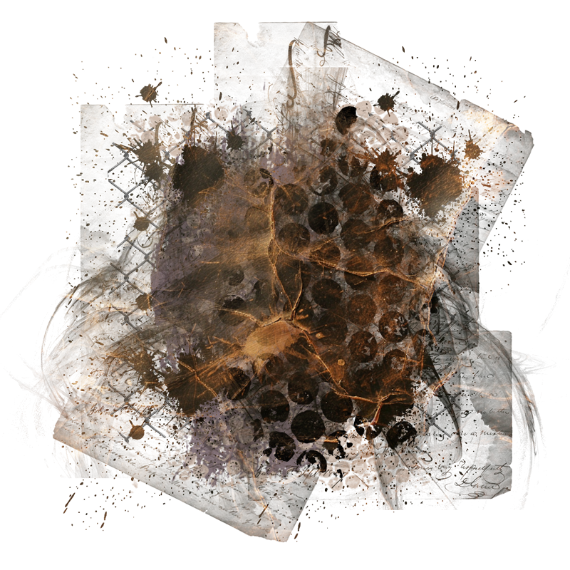 Background Element 800 x 800 - Created by Designs by Forte