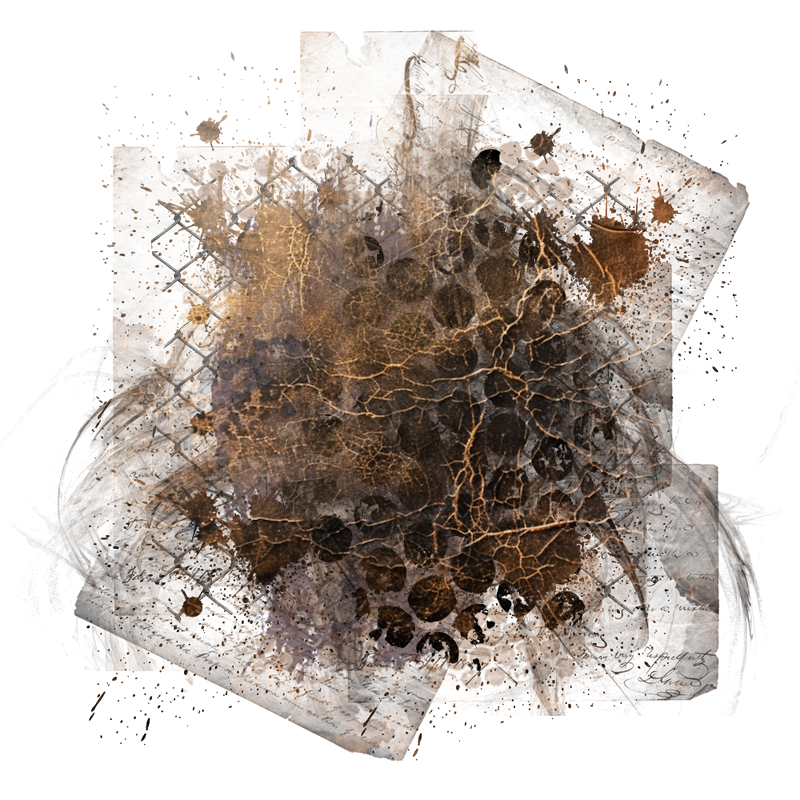 Background Element 800 x 800 - Created by Designs by Forte