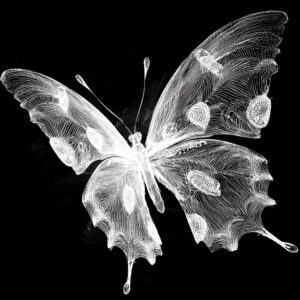 Free Download PSP Mask 1000 x 1000