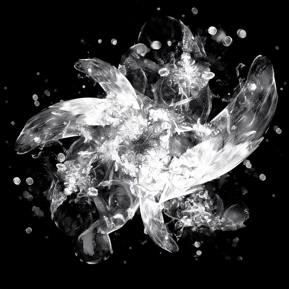 Free Download PSP Mask 1000 x 1000