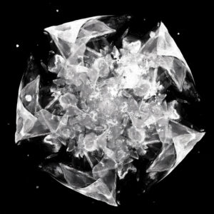 Free Download PSP Mask 1000 x 1000