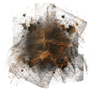 Background Element 800 x 800 - Created by Designs by Forte