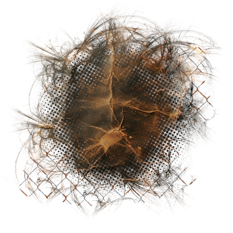 Background Element 800 x 800 - Created by Designs by Forte