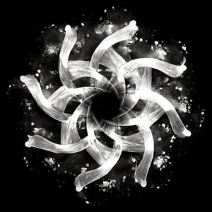 Free Download PSP Mask 1000 x 1000